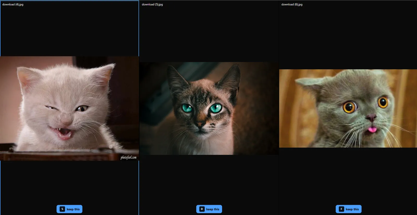 Three photos side by side in compare mode with synchronized zoom