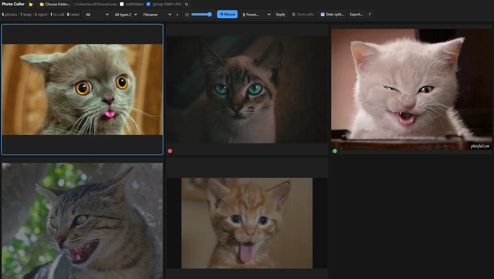 Grid view of a photo shoot with keep and reject flags, star ratings and RAW+JPG badges